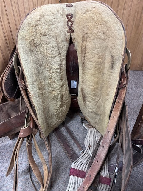 Used 14" Porter Custom Trail Saddle