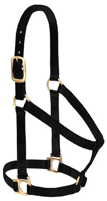 Non-Adjustable 1" Nylon Halter