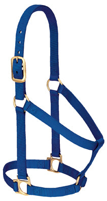 Non-Adjustable 1" Nylon Halter