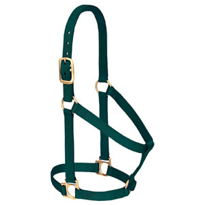 Non-Adjustable 1" Nylon Halter