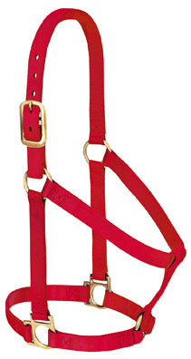 Non-Adjustable 1" Nylon Halter