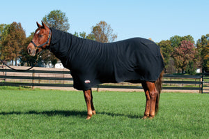 Fleece Cooler, Average Horse